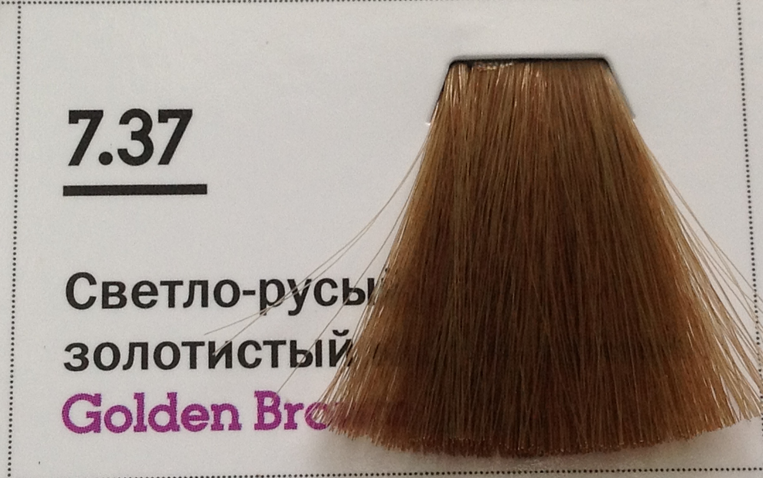 8.0 какой цвет. Краска Эссем Симпл. Essem simple краска 7.78. Краска Concept для седых волос 7/00. Concept 7.00 краска для волос.