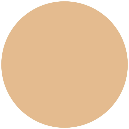 Пудровая тональная основа 16h Cover & Last Powder Foundation, 11 - 4