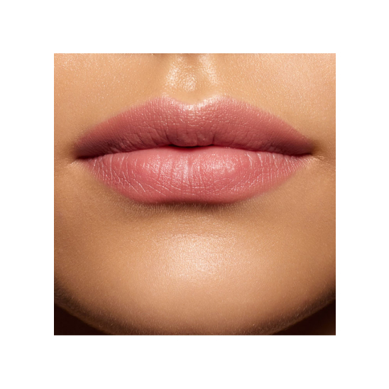 Устойчивая матовая губная помада SPF 15 Matte Lasting Lipstick, 61 палисандр - 3