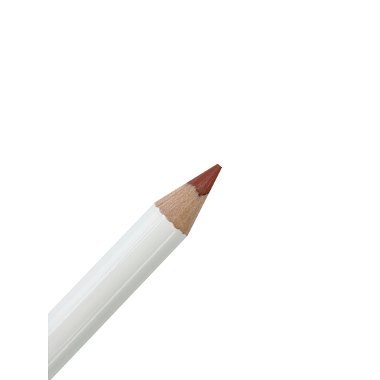 Карандаш для губ Professional, 419 Pink Blush - 2