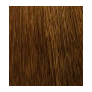 Hair Company - Стойкая крем-краска для волос Coloring Cream - 8.13 Светло-русый пепельно-золотистый100 мл