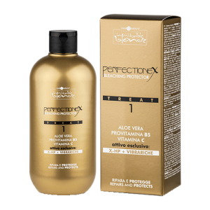 Hair Company - Защита и восстановление Perfectionex Treat 1500 мл