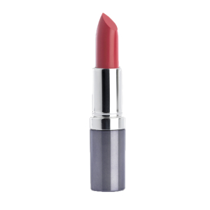 Seventeen - Помада для губ увлажняющая Lipstick Special, 360 весенний букет5 г