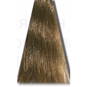 Hair Company - Стойкая крем-краска Crema Colorante - 9.31 экстра светло-русый золотисто-пепельный100 мл