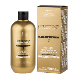 Hair Company - Защита и восстановление Perfectionex Treat 2500 мл