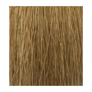 Hair Company - Стойкая крем-краска для волос Coloring Cream - 10.32 Платиновый блондин песочный100 мл