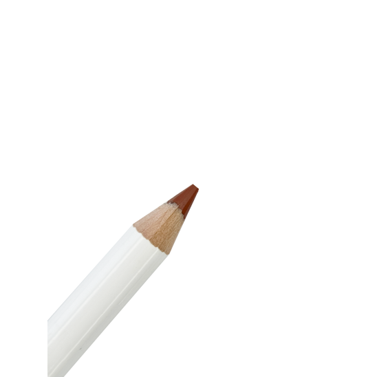 Карандаш для губ Professional, 421 Copper Penny - 2