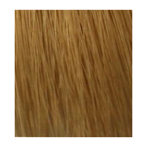 Hair Company - Стойкая крем-краска для волос Coloring Cream - 9 Экстра светло-русый100 мл