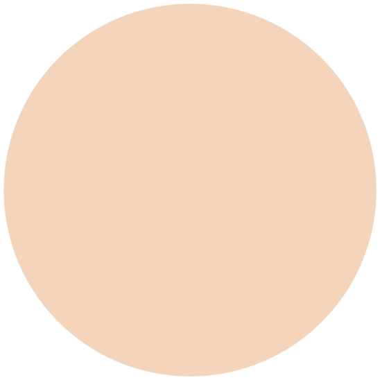 Пудровая тональная основа 16h Cover & Last Powder Foundation, 02 - 3