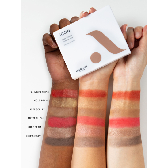 Палетка для лица: румяна, хайлайтер, контурирующая пудра Icon Face Palette, Medium To Dark - 3