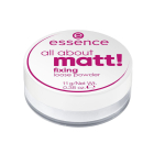 Пудра рассыпчатая all about matt! fixing loose powder