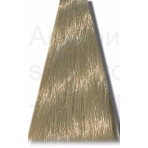 Hair Company - Стойкая крем-краска Crema Colorante - 10 платиновый блондин100 мл