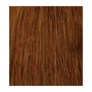 Hair Company - Стойкая крем-краска для волос Coloring Cream - 7 gianduia русый ореховый шоколад100 мл