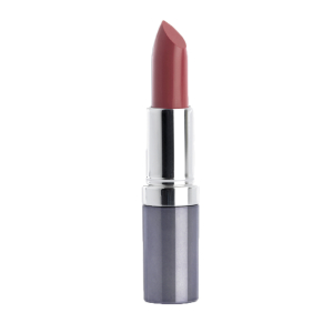 Seventeen - Помада для губ увлажняющая Lipstick Special, 305 кокетка5 г