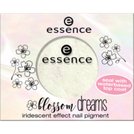 Радужный пигмент для ногтей 01