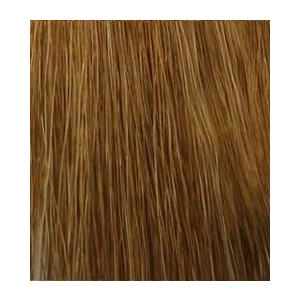 Hair Company - Стойкая крем-краска для волос Coloring Cream - 9 caffelatte экстра светло-русый кофе с молоком100 мл